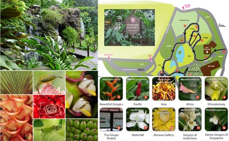 Имбирные напитки сингапурской компании Gold Kili. Созданы с любовью Имбирные напитки сингапурской компании Gold Kili. Для имбирных людей