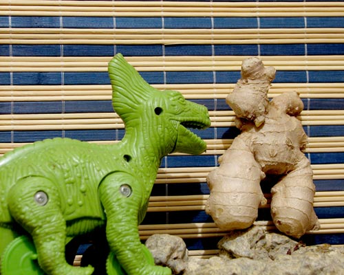 imbir, ginger, имбирь, корень имбиря